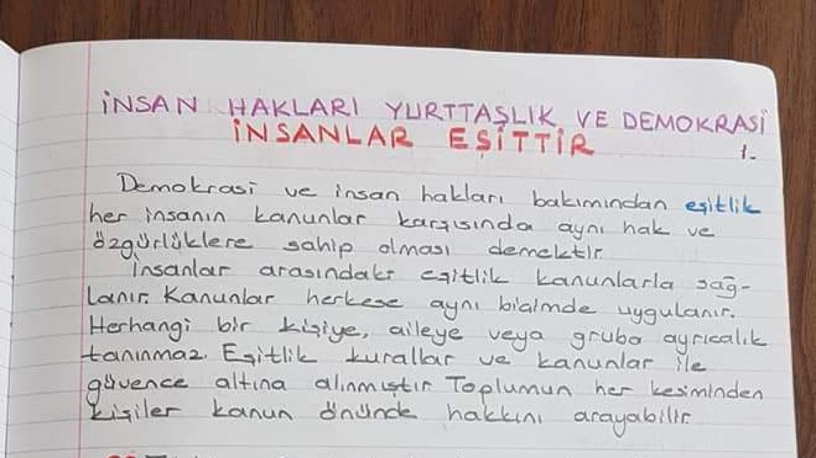 4. SINIF İNSAN HAKLARI VE DEMOKRASİ DERSİ DERS NOTU
